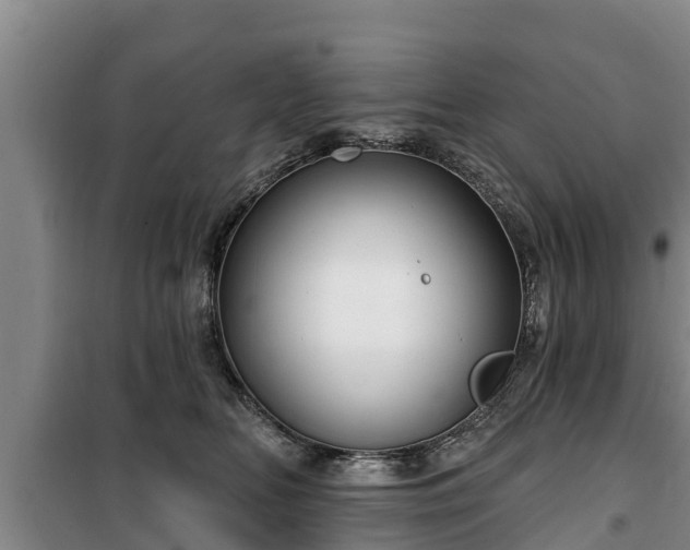 X0000100200518200806061325