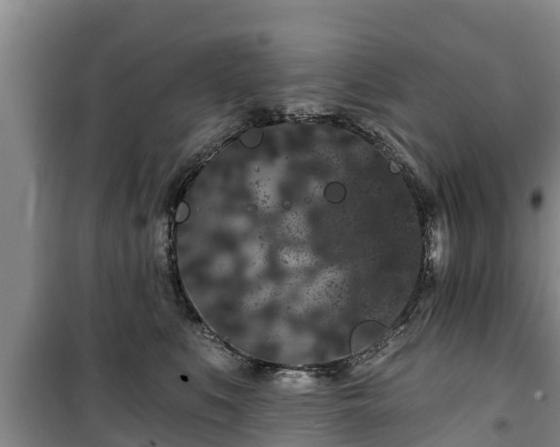 X0000100200519200806061325