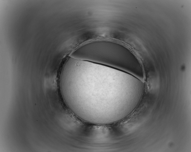 X0000100200520200806061325