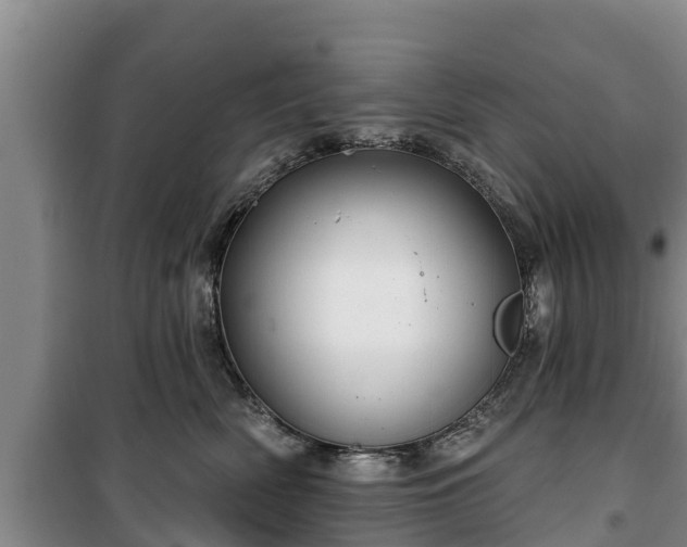 X0000100200522200806061325