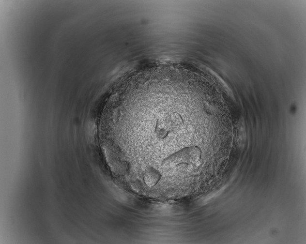 X0000100200523200806061325