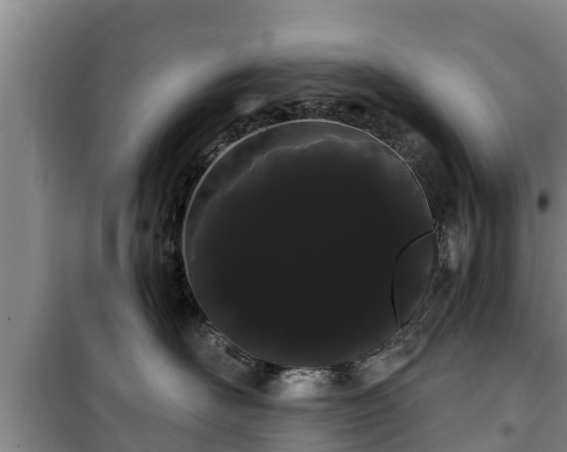 X0000100200526200806061325