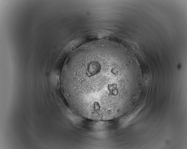 X0000100200527200806061325