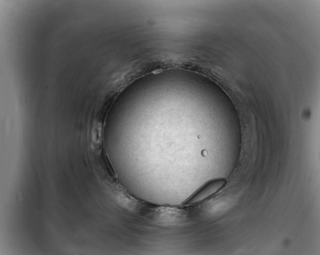 X0000100200528200806061325