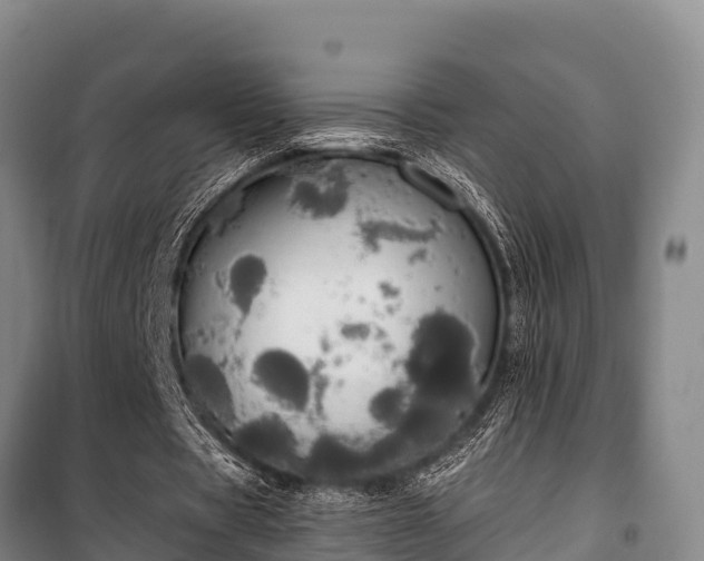 X0000100200529200806061324