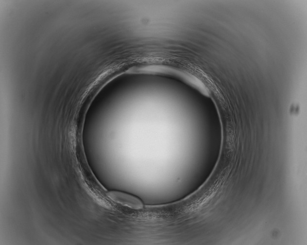 X0000100200530200806061324