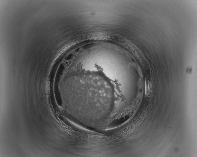 X0000100200531200806061324