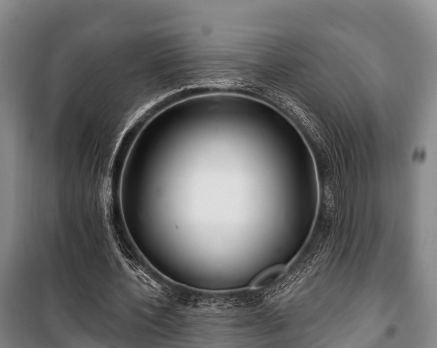 X0000100200532200806061324