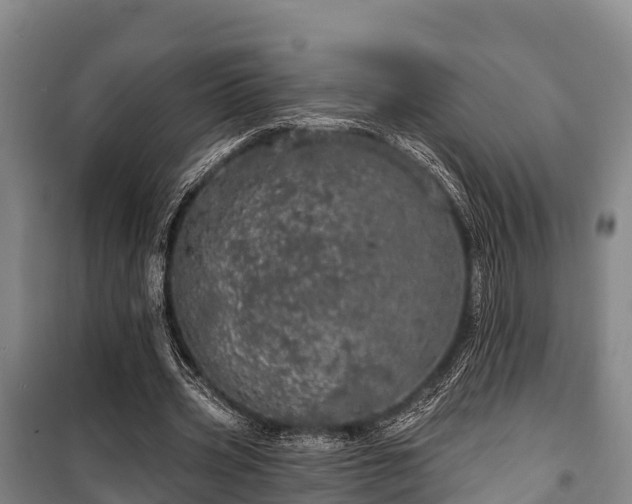 X0000100200533200806061324