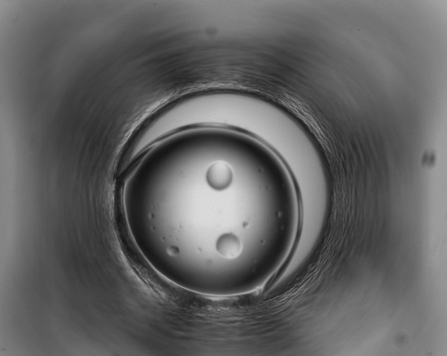 X0000100200534200806061324