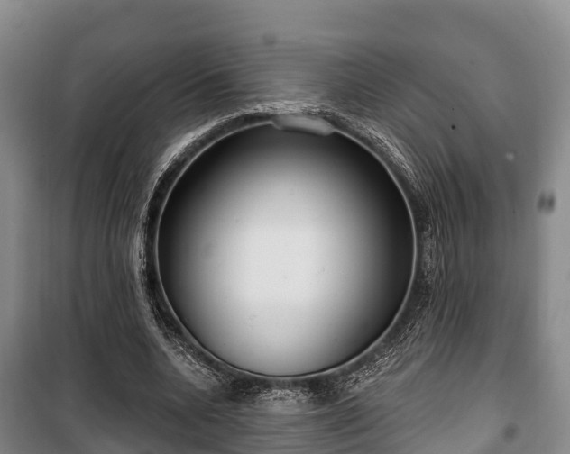 X0000100200536200806061324