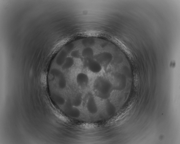 X0000100200537200806061324