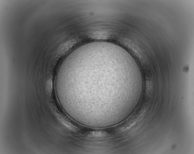 X0000100200541200806061325