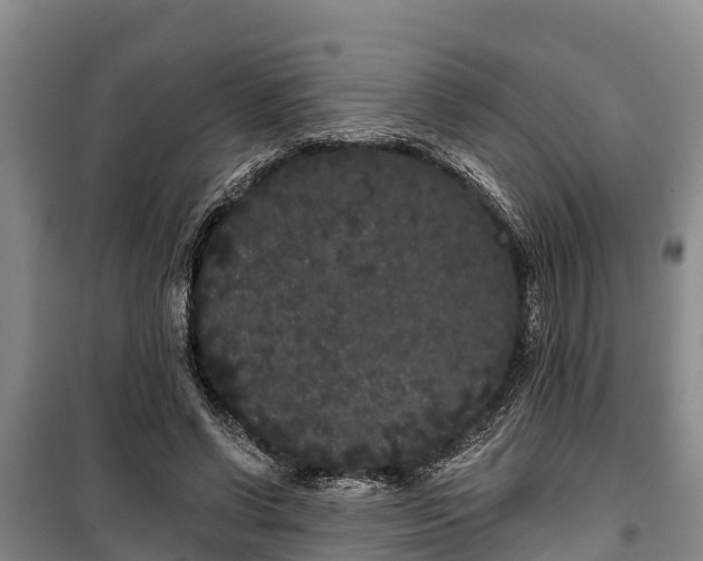 X0000100200542200806061325