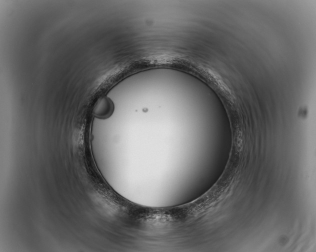 X0000100200543200806061325