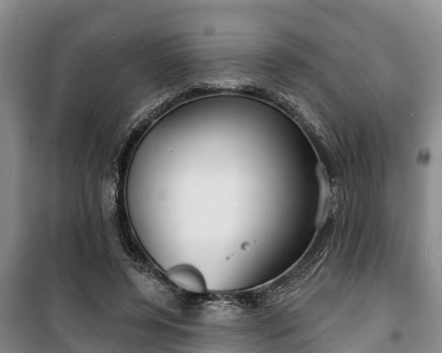 X0000100200544200806061325