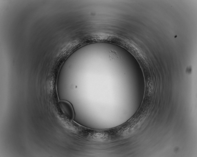 X0000100200546200806061325