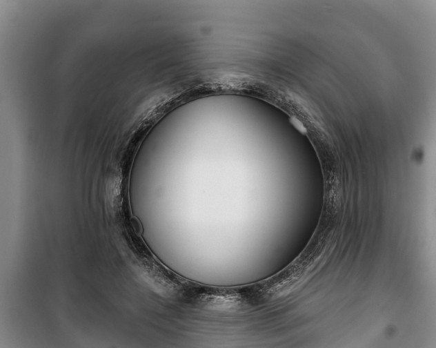 X0000100200548200806061325