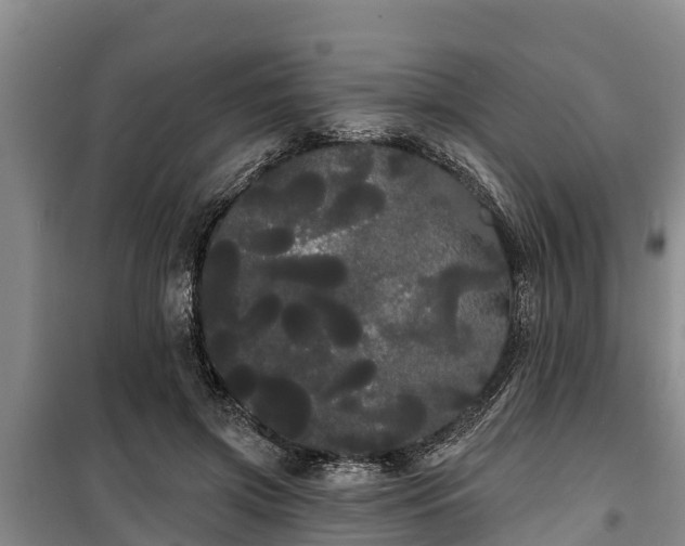 X0000100200549200806061325