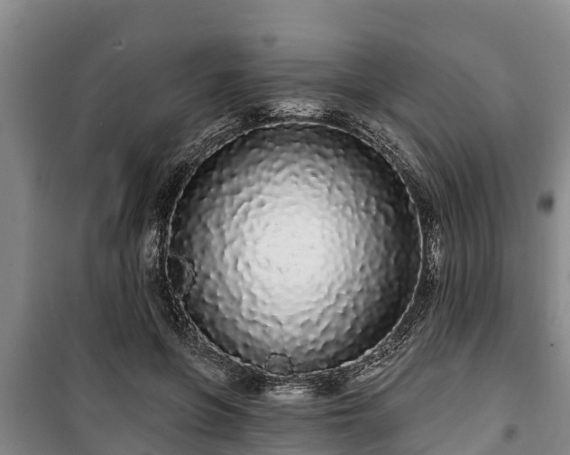 X0000100200551200806061325