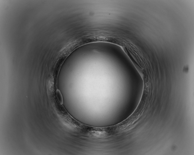 X0000100200552200806061325