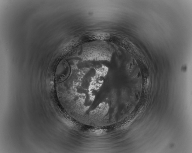 X0000100200553200806061325