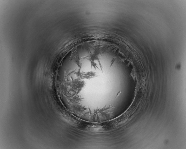 X0000100200554200806061325