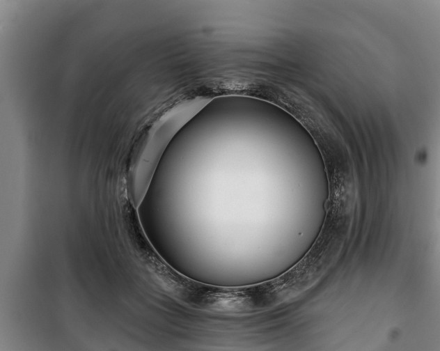 X0000100200555200806061325