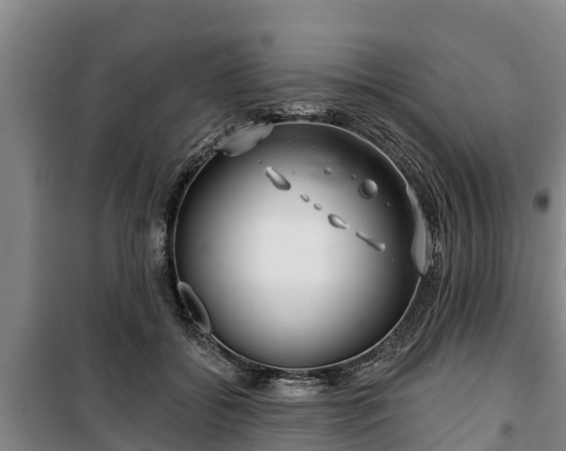 X0000100200556200806061325