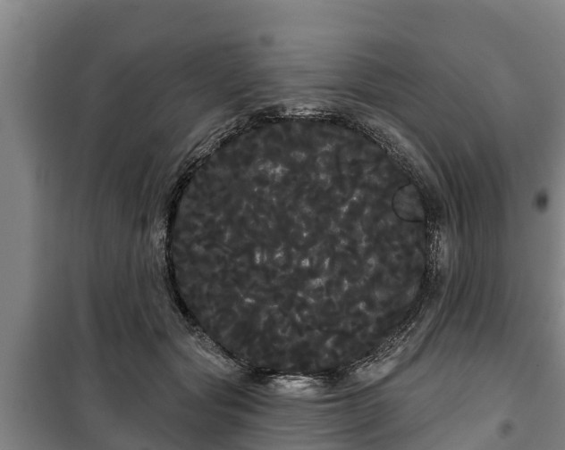 X0000100200557200806061325