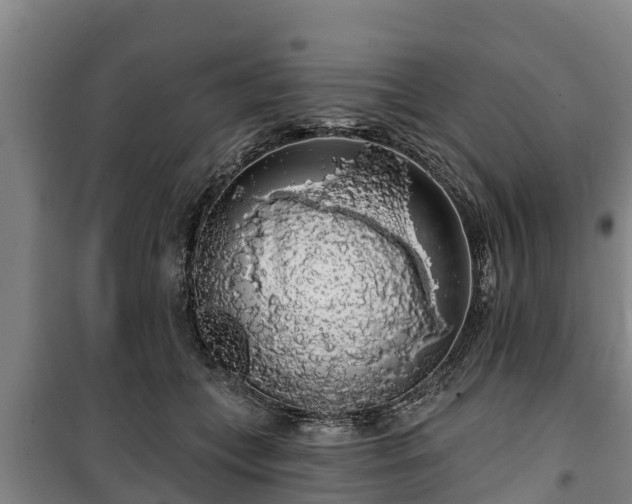 X0000100200559200806061325