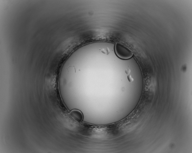 X0000100200560200806061325