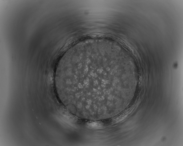 X0000100200561200806061325