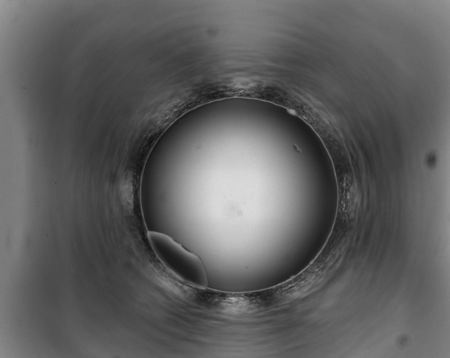 X0000100200562200806061325