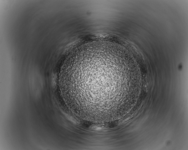 X0000100200563200806061325