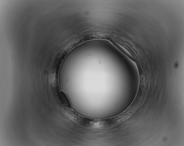 X0000100200564200806061325