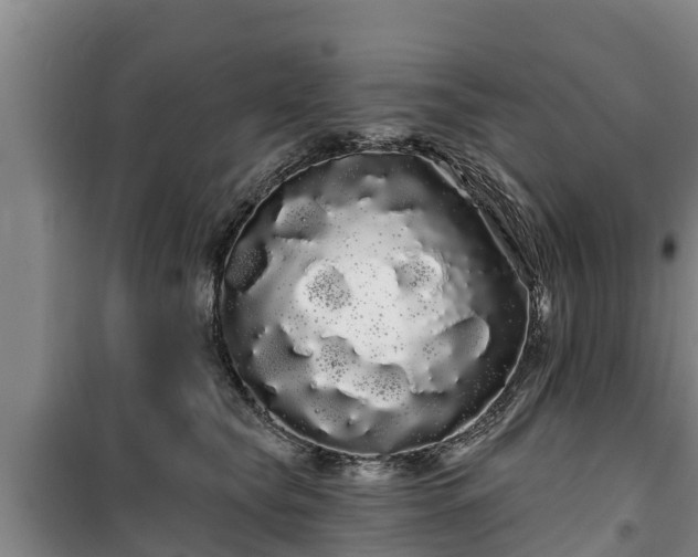 X0000100200565200806061325