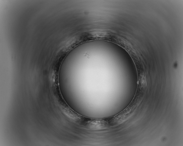 X0000100200567200806061325