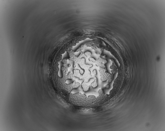 X0000100200569200806061325