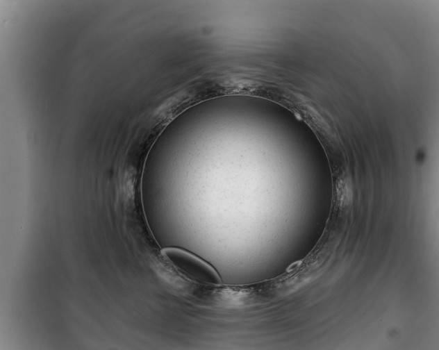 X0000100200570200806061325