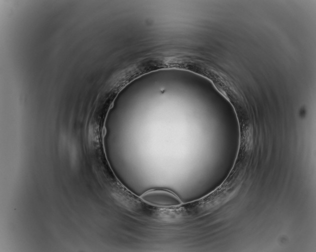 X0000100200571200806061325