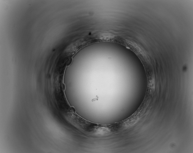 X0000100200572200806061325