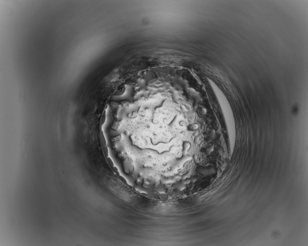 X0000100200573200806061325