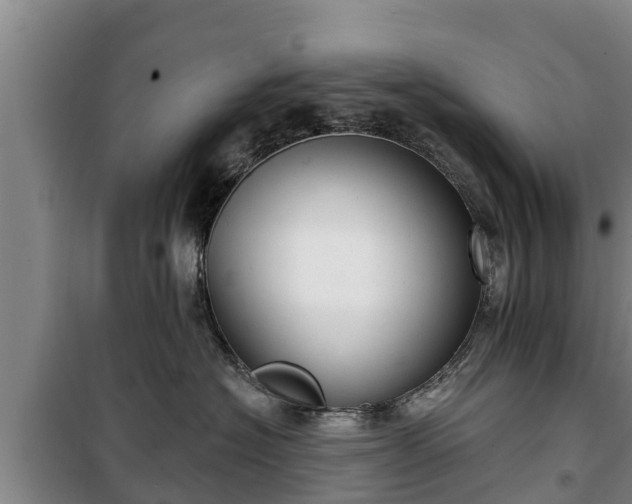 X0000100200574200806061325