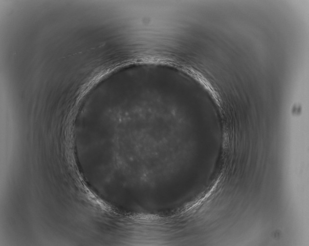 X0000100200577200806061324