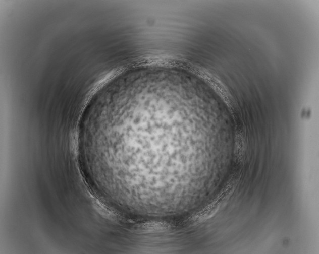 X0000100200578200806061324