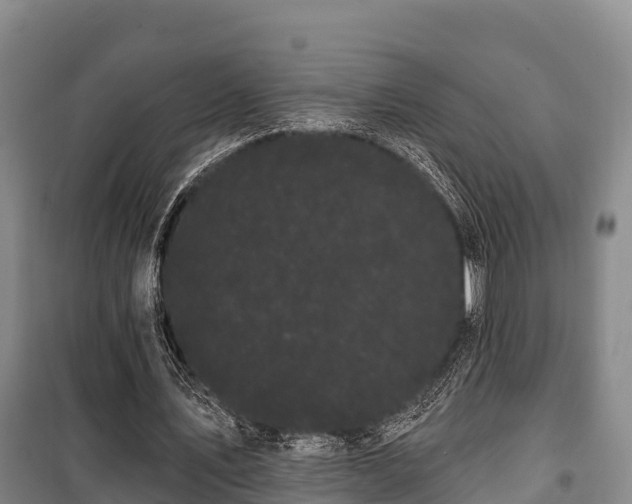 X0000100200579200806061324