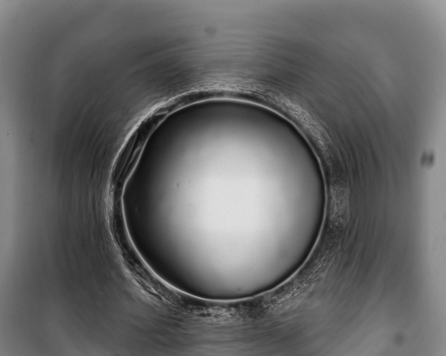 X0000100200580200806061324