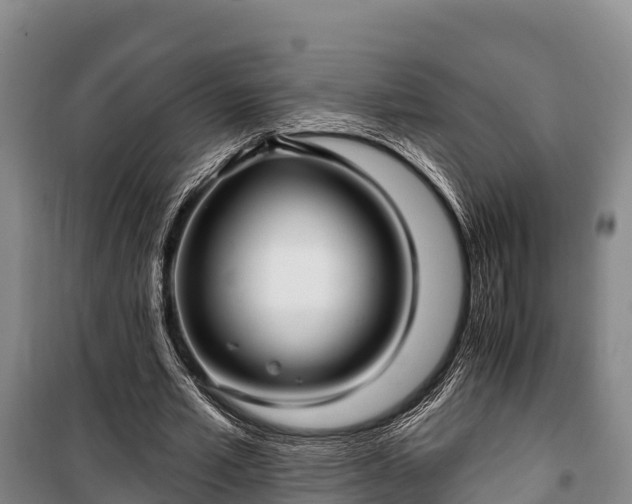 X0000100200581200806061324