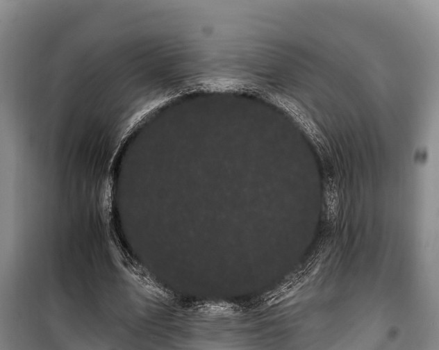 X0000100200583200806061324